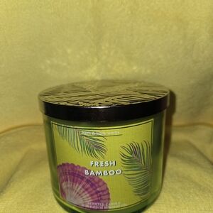 Bath & Body Works Fresh Bamboo Candle - Green and Purple